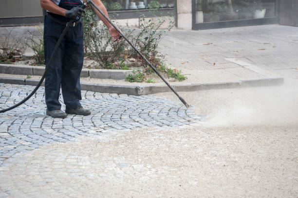 Animal Enclosure Cleaning in Des Allemands, LA